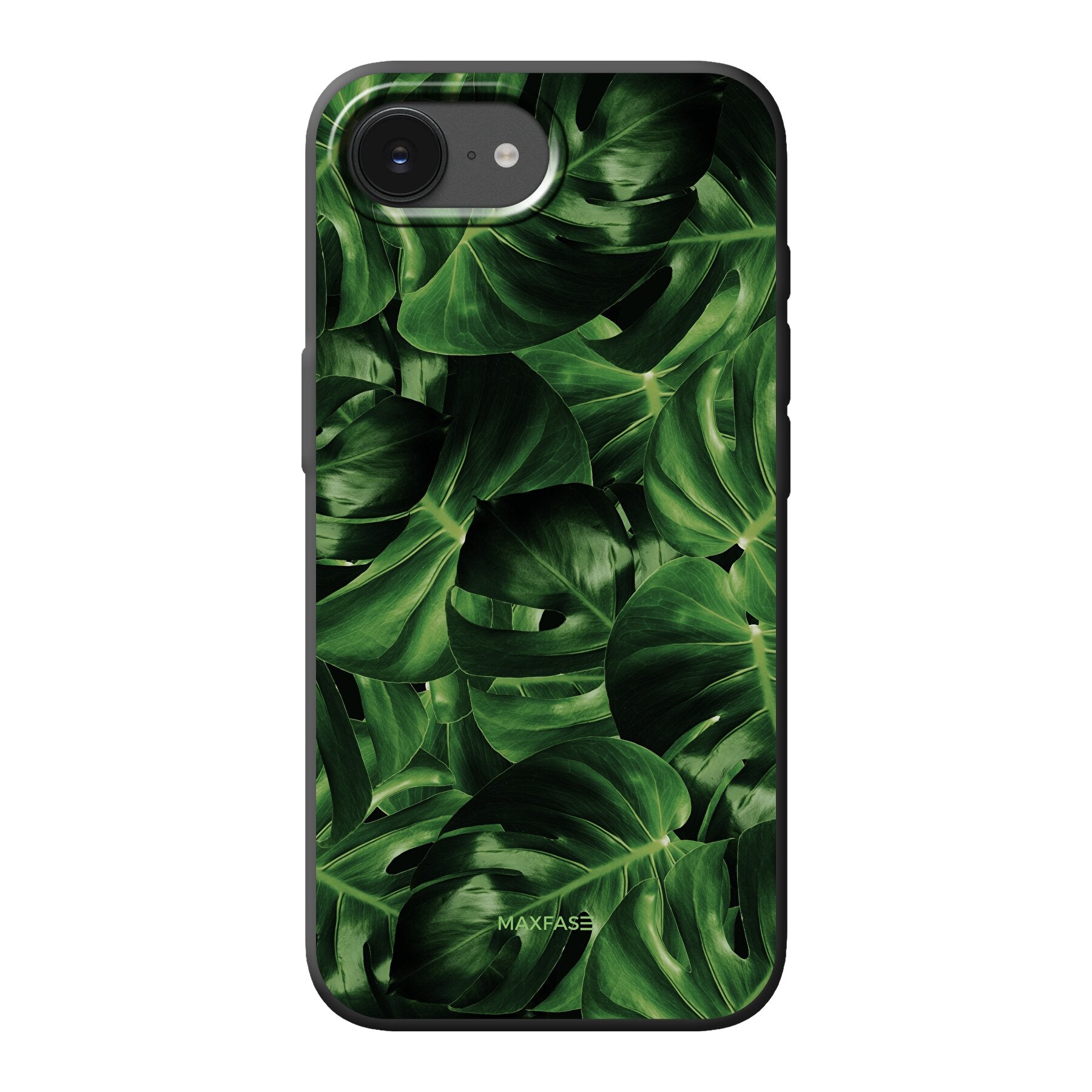Flora